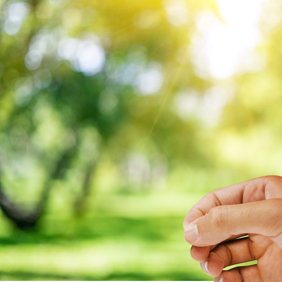 Take Me To The Beach Sticker